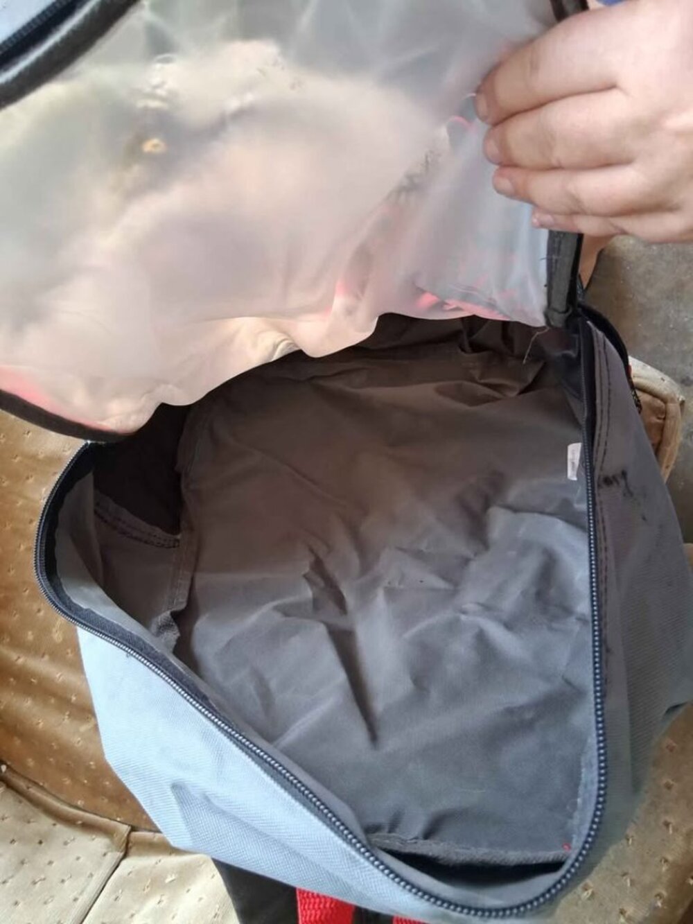 Jurassic World T-Rex Backpack - Picture 4 of 5